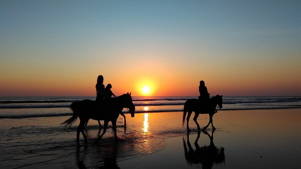 Horse riders along the Atlantic shoreline at sunset