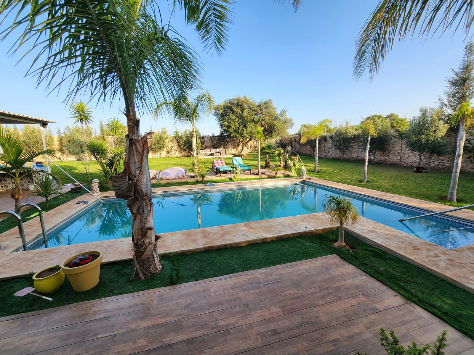 Private swimming pool surrounded by palms and a garden